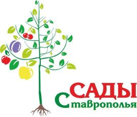 ПЛОДООБЪЕДИНЕНИЕ САДЫ СТАВРОПОЛЬЯ, ООО